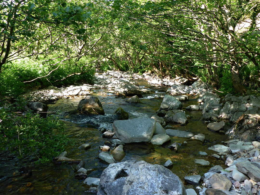 River Heddon