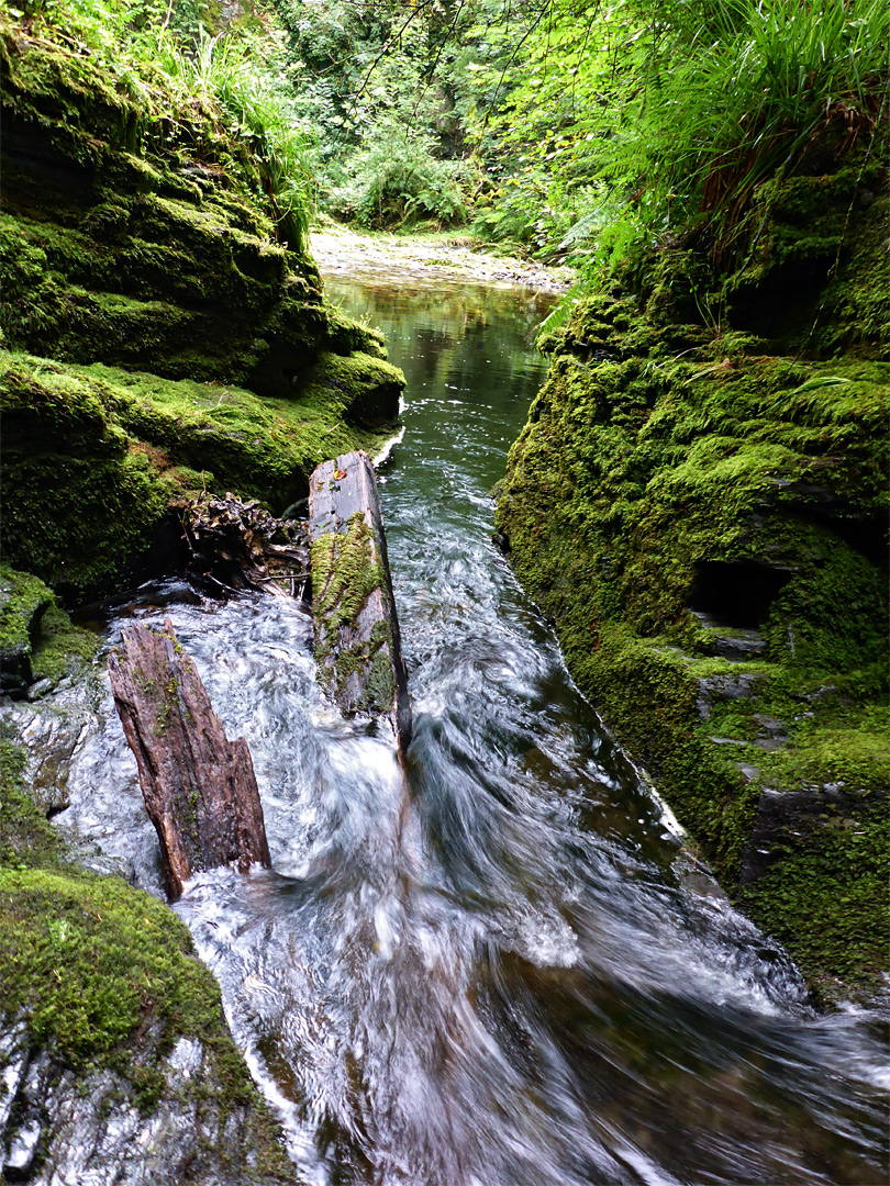 River above Tucker's Pool