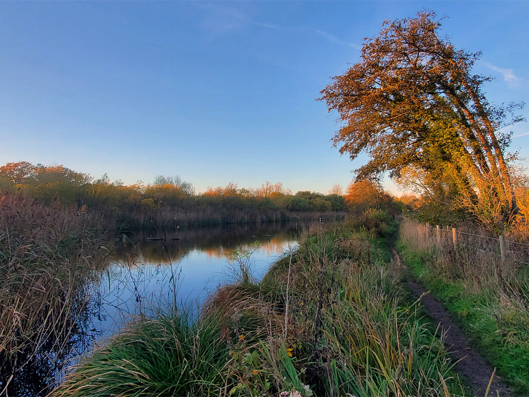 Path by the river