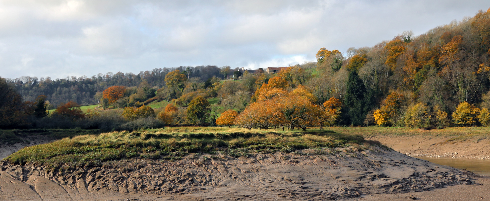 Mud, grass and trees