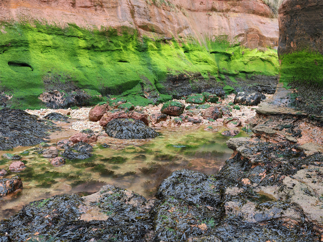 Rock pool