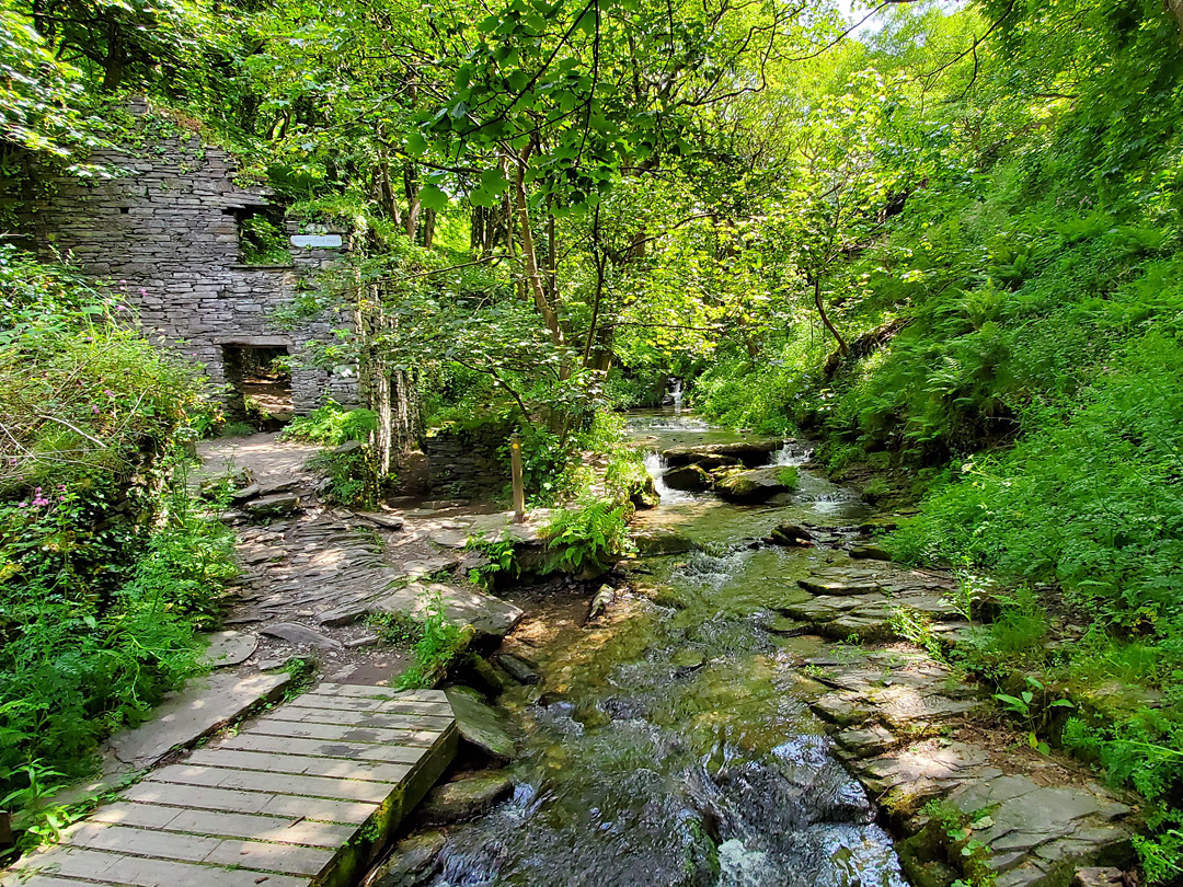 Ruins by the river