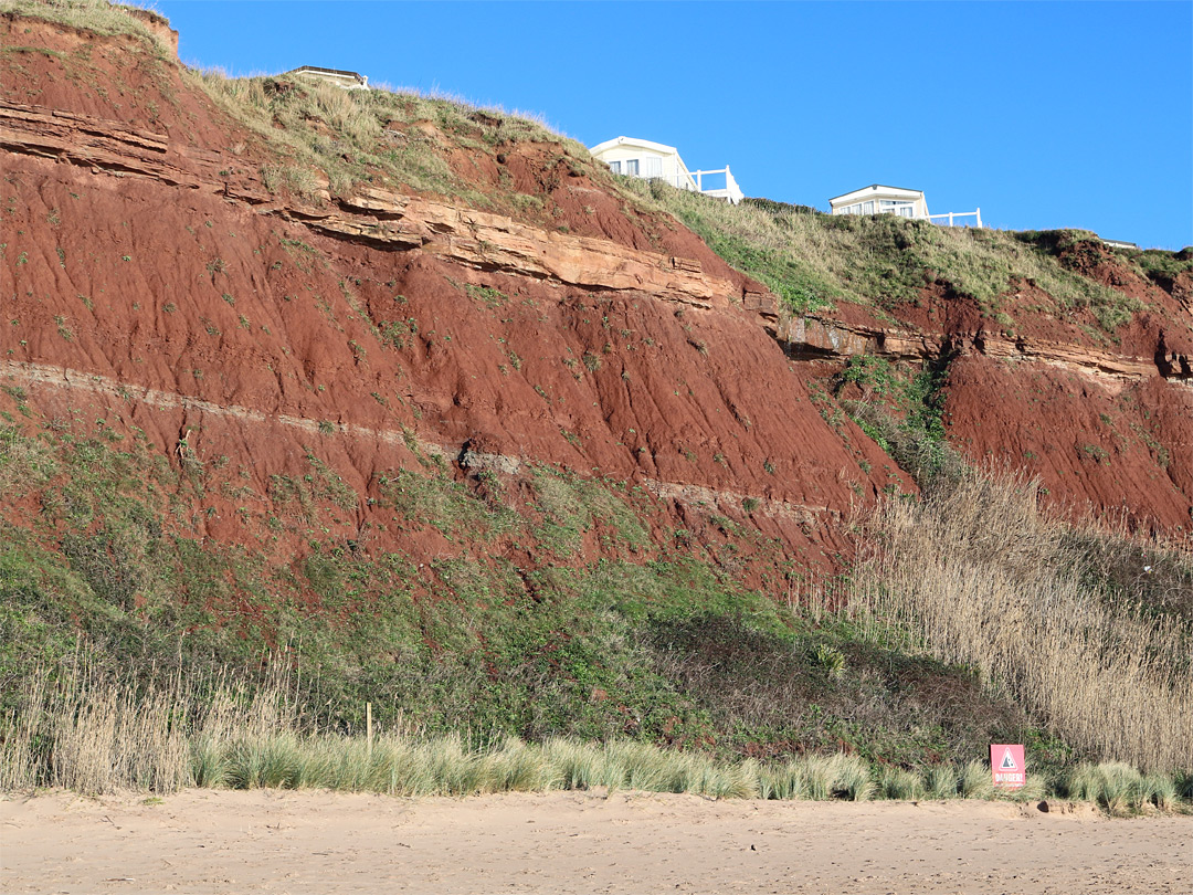 Mudstone cliff