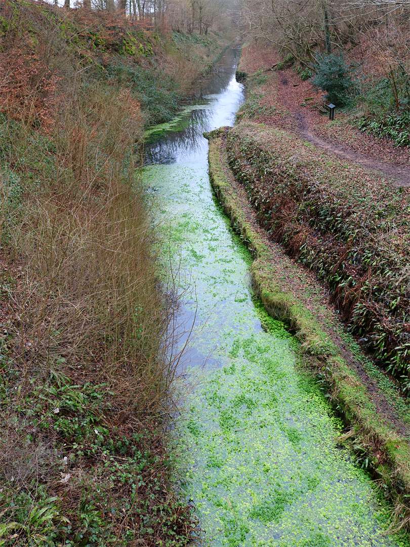 Above the canal