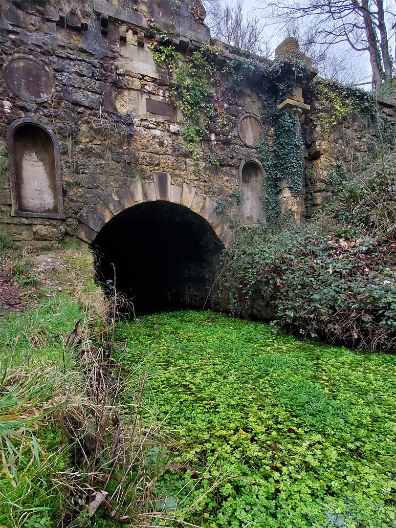 Coates portal
