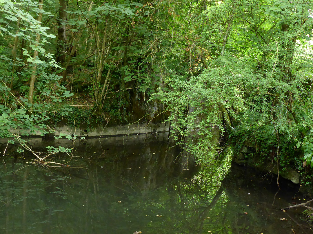 Pool on the canal