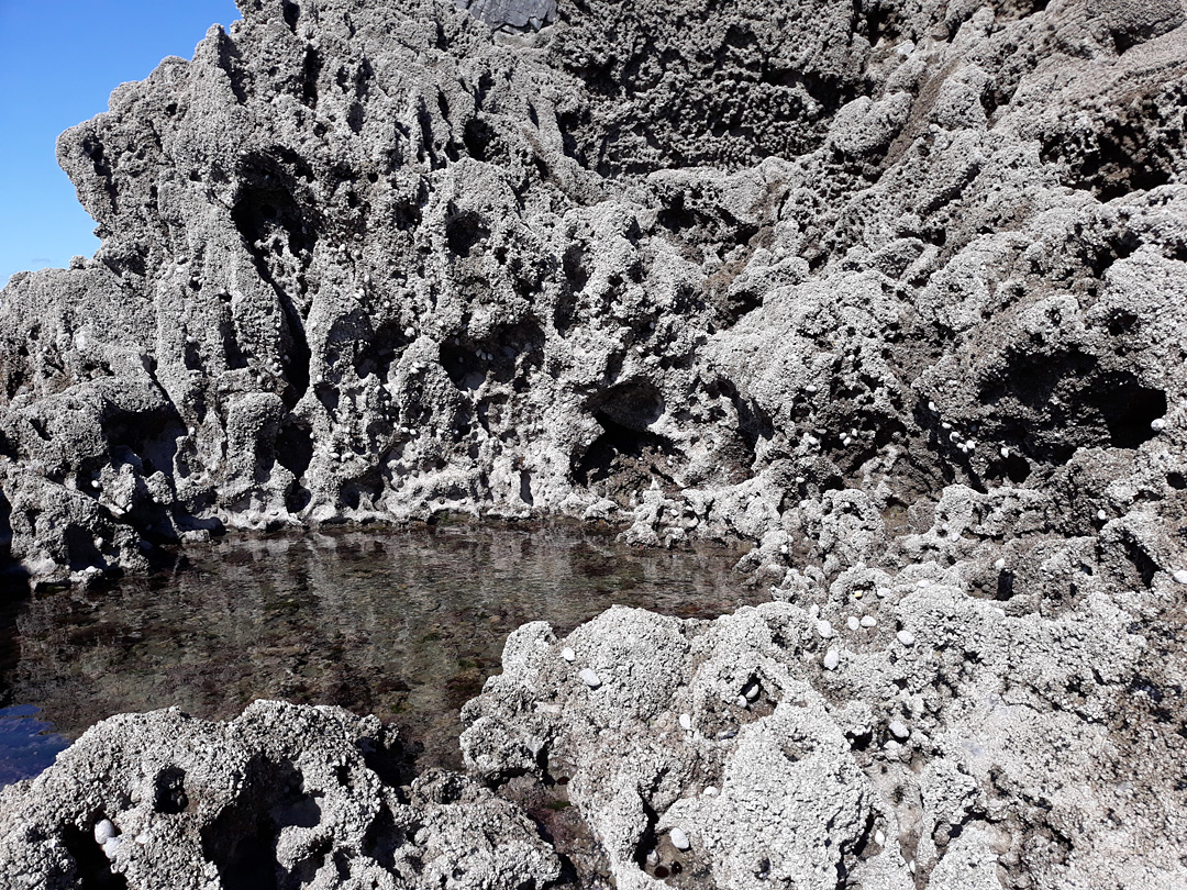 Pool in limestone