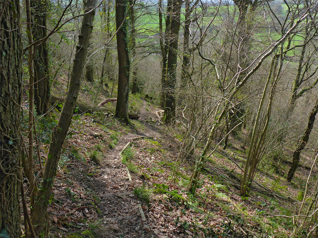 Steps on the path