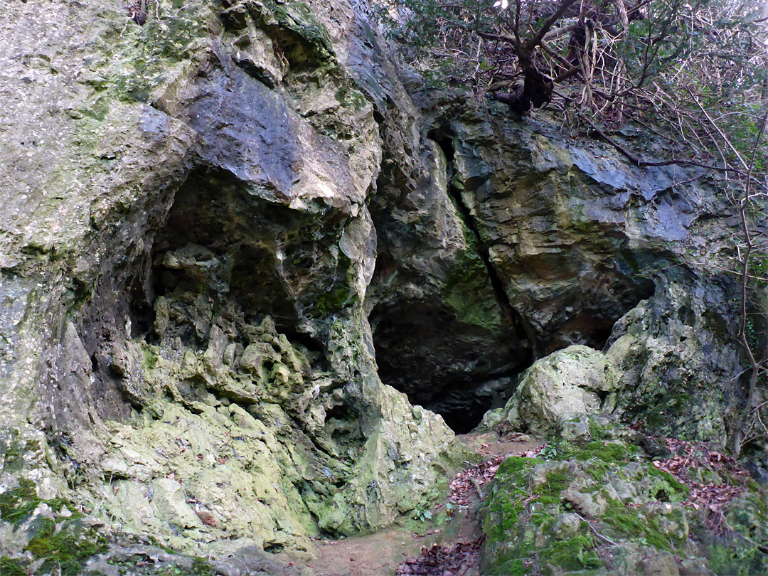 Cave entrance