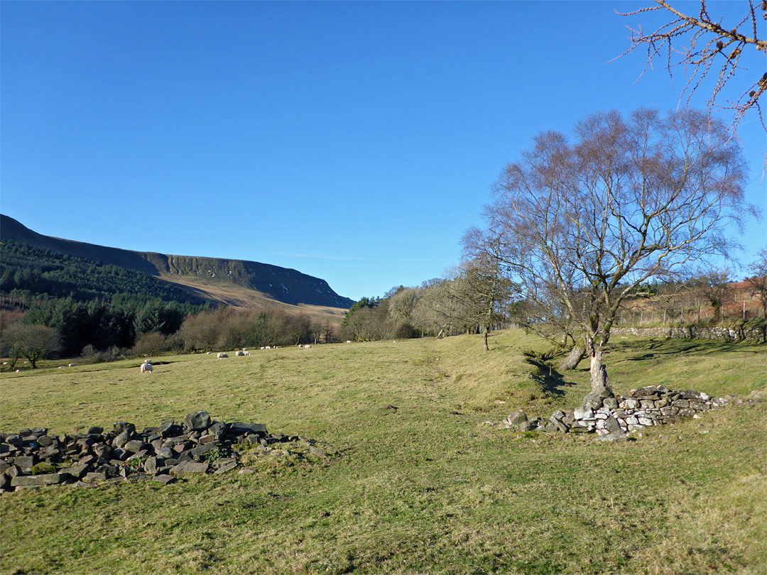 Taf Fechan valley