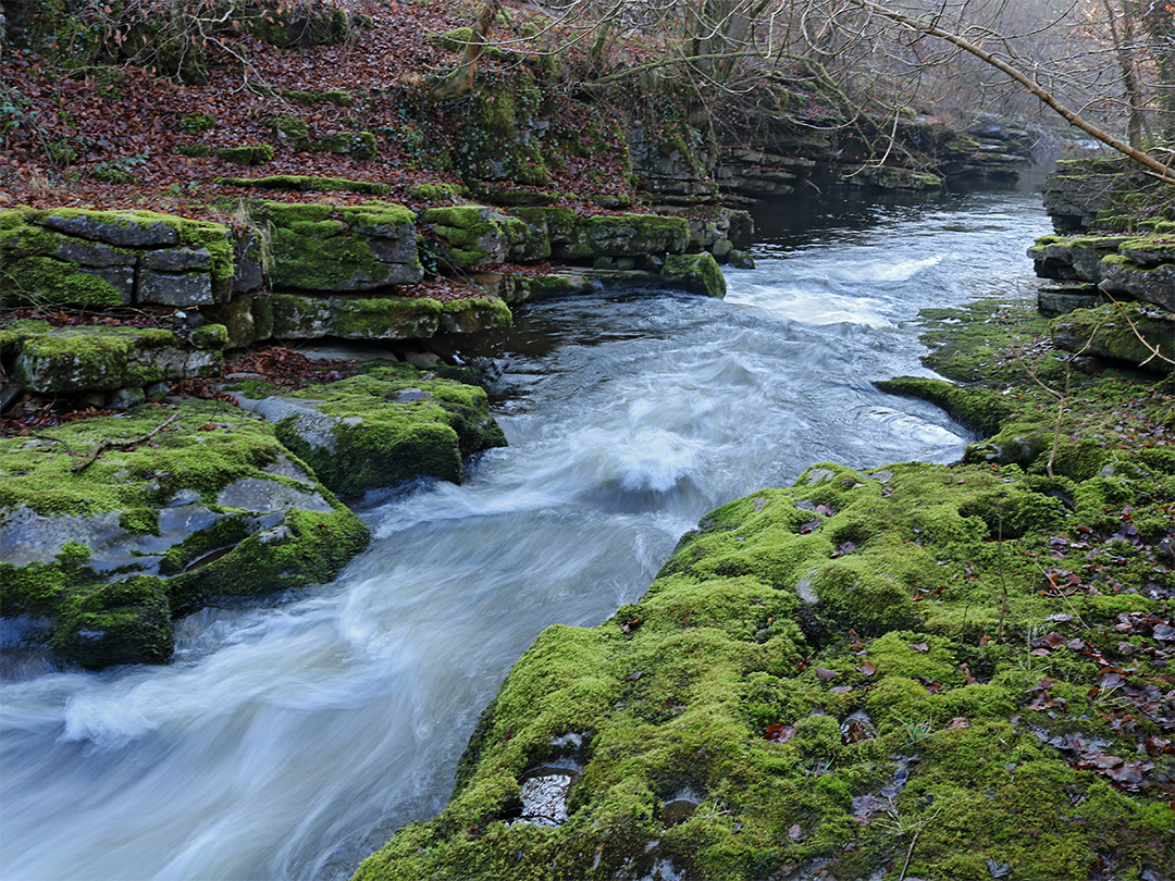 Moss-covered rocks