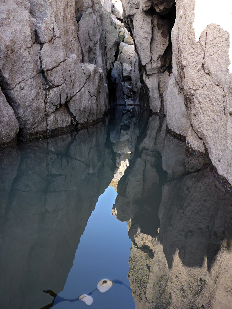 Reflective pool