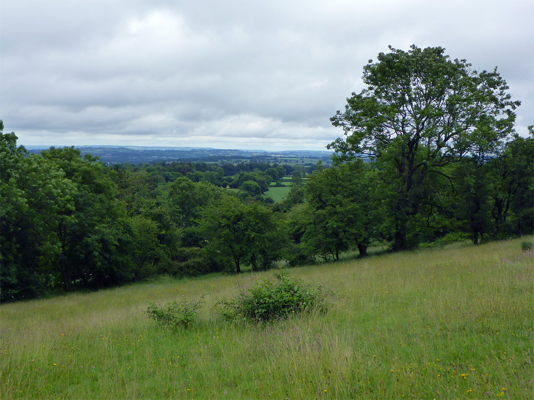 The view northeast