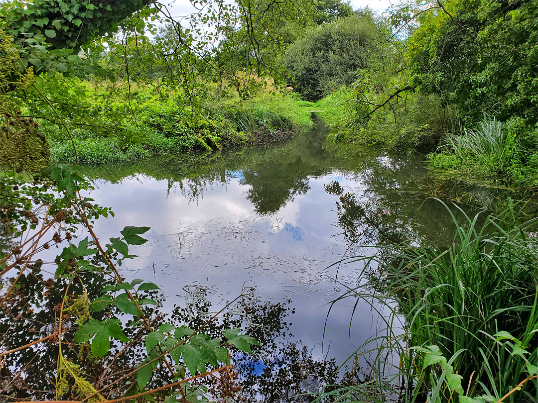 River Pang