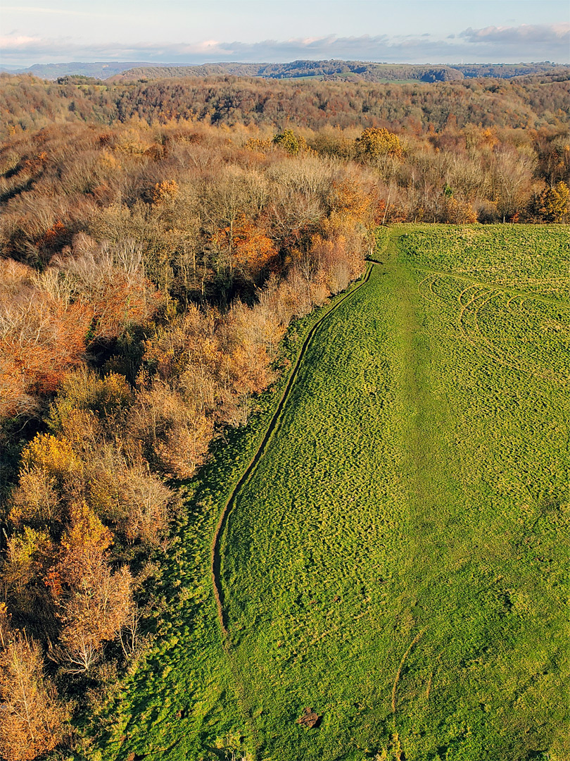 Above the woodland