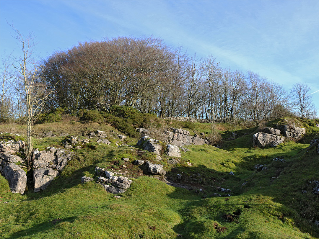 Rocks and trees