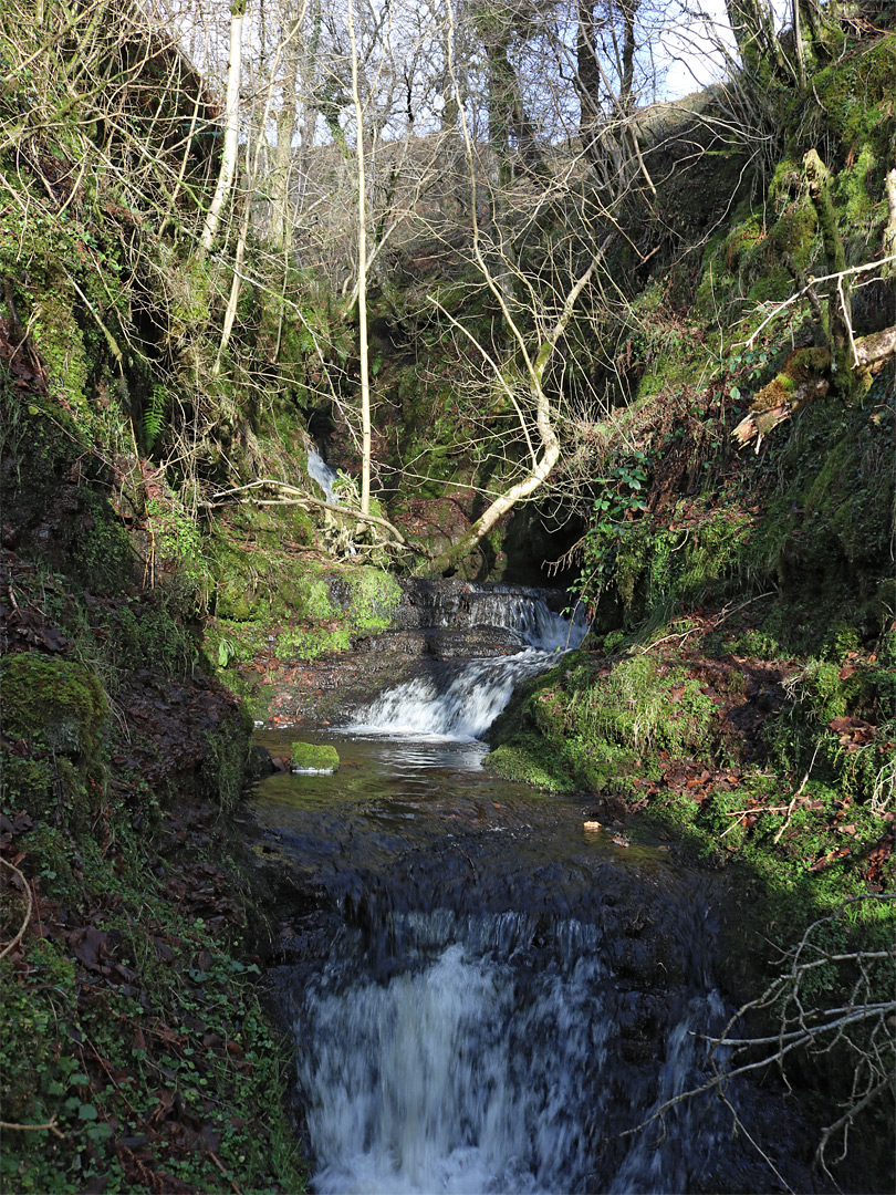 Mossy valley sides