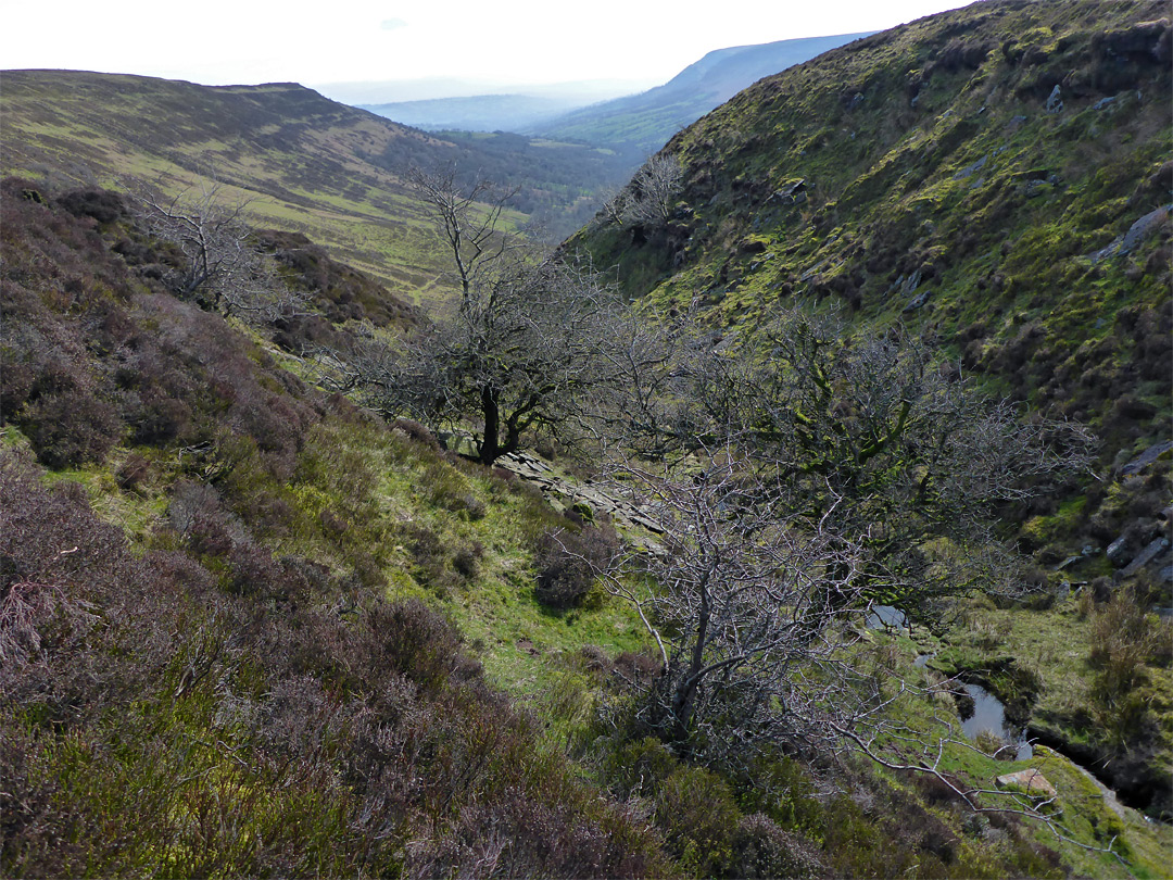 Narrow ravine