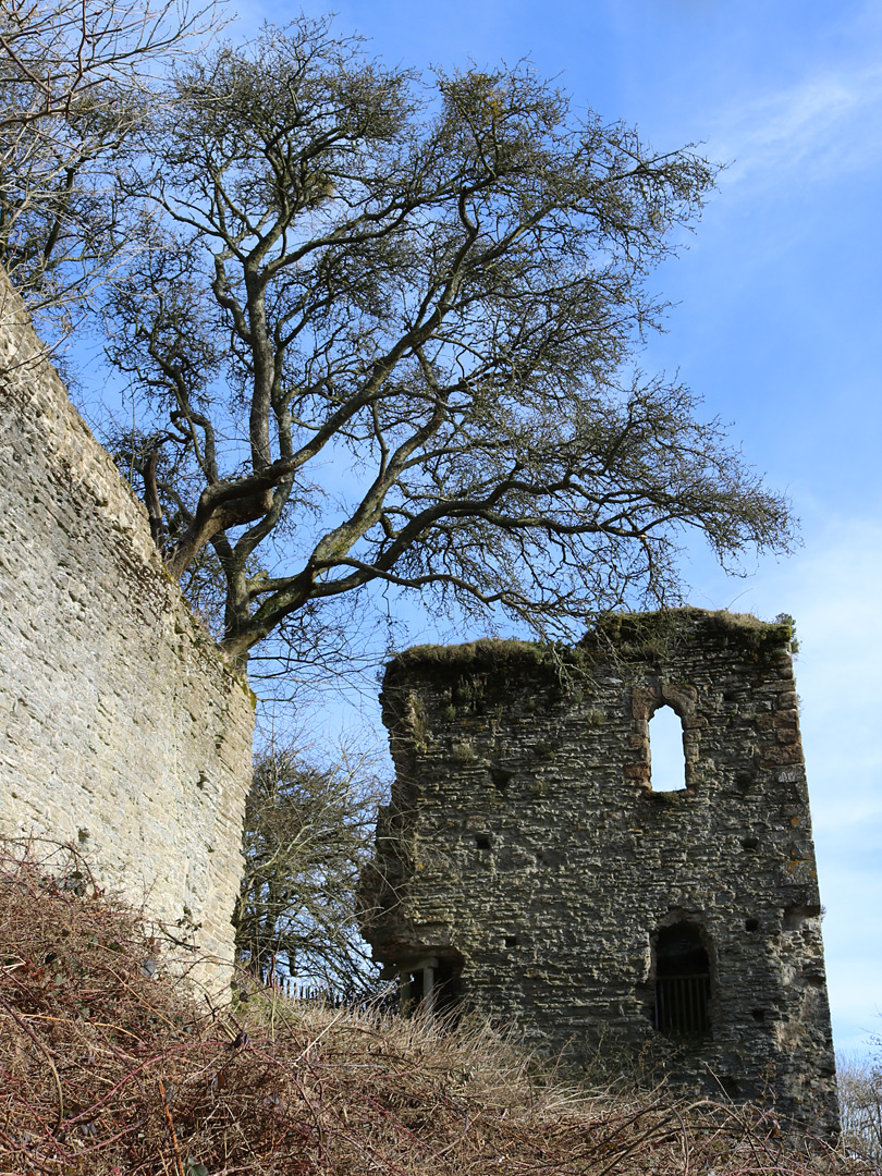 Tower and wall