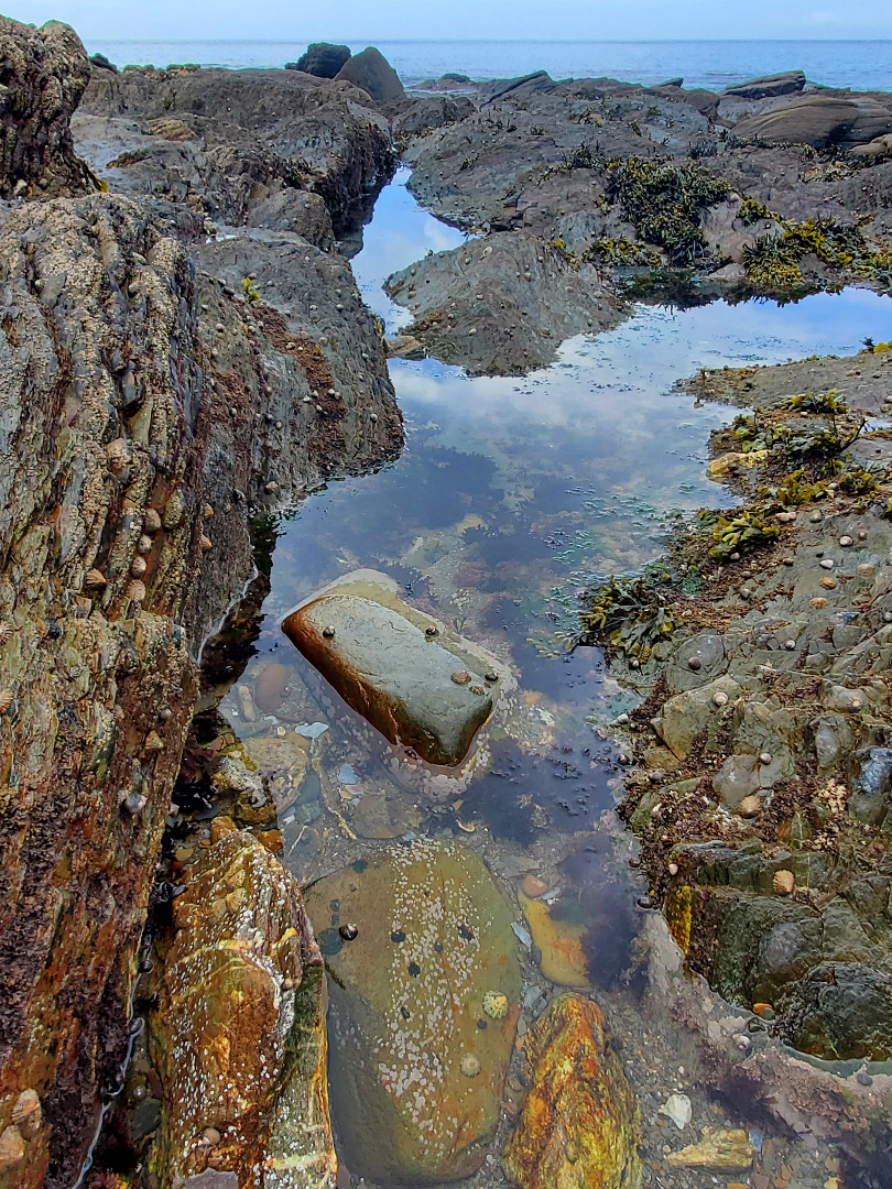 Rock pool