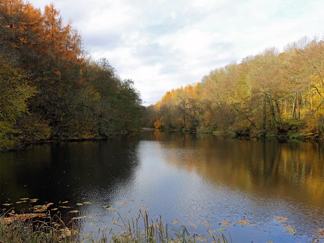 Kennel Pond