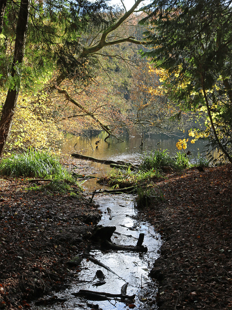 Tiny stream