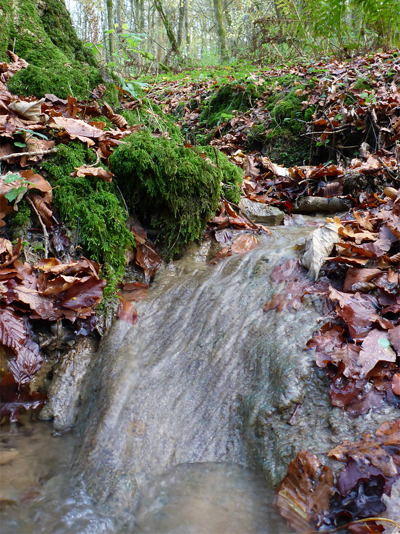 Stream flowing over rock