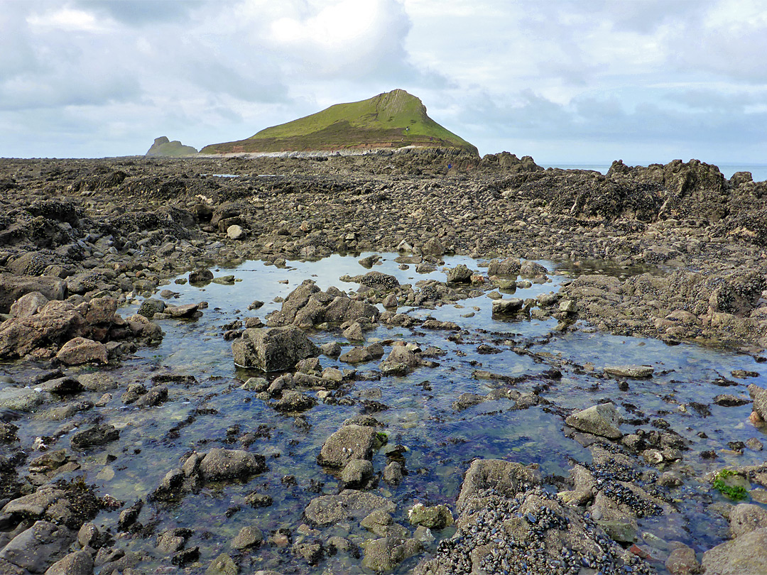 Shallow tide pool