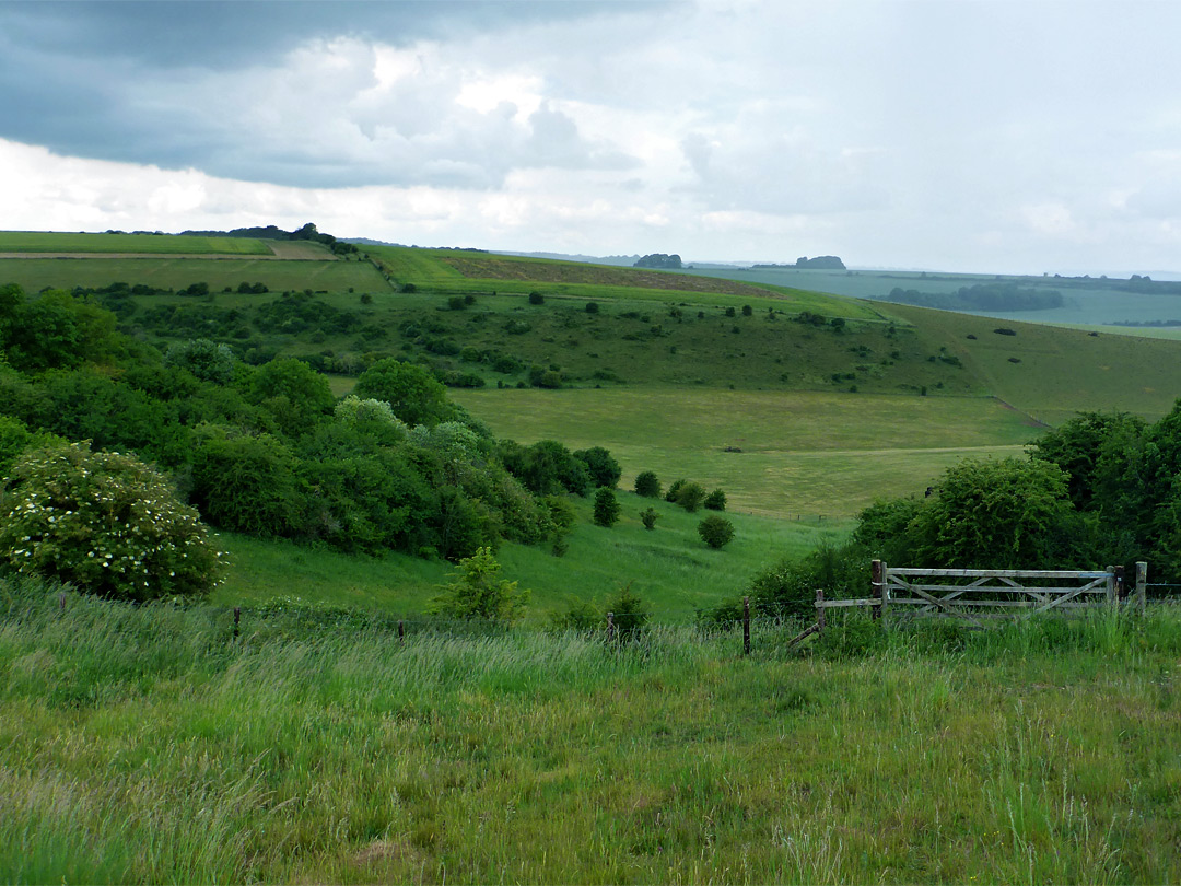 Fence and gate