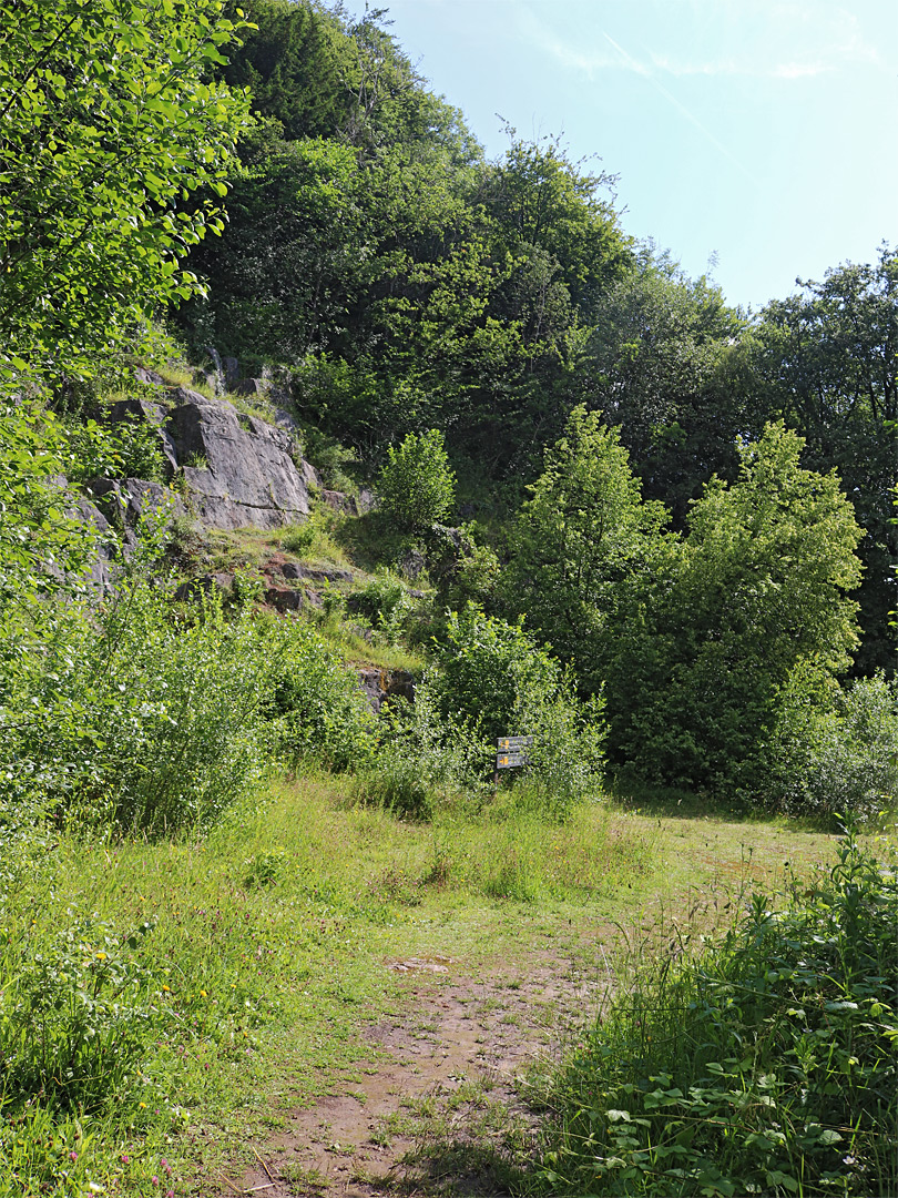 Old quarry