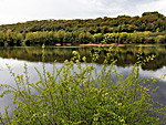 Bodenham Lake