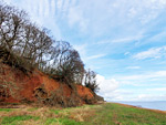 Sedbury Cliff