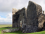 Weobley Castle