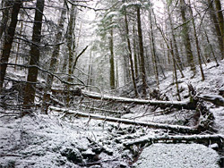 Afon Honddu