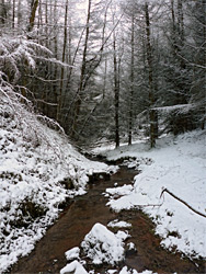 Snowy stream