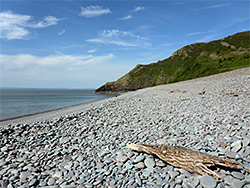 Driftwood