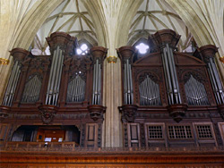 Organ