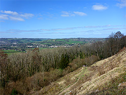 Grassland in springtime