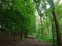 Path from the carpark