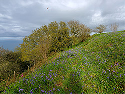 Roman camp