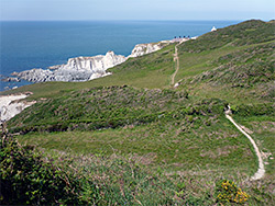 Path near Bull Point