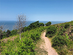 Moorland path