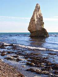 Seaweed beside Butter Rock