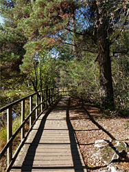 Wooden walkway