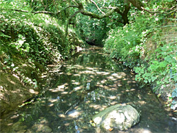 Candleston Brook