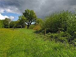 West field path