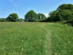 East field path
