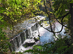 Weir at Cleeve Mill