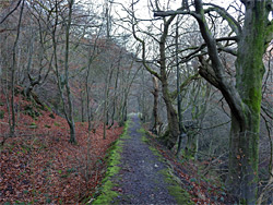 Old tramway