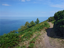 The coast path